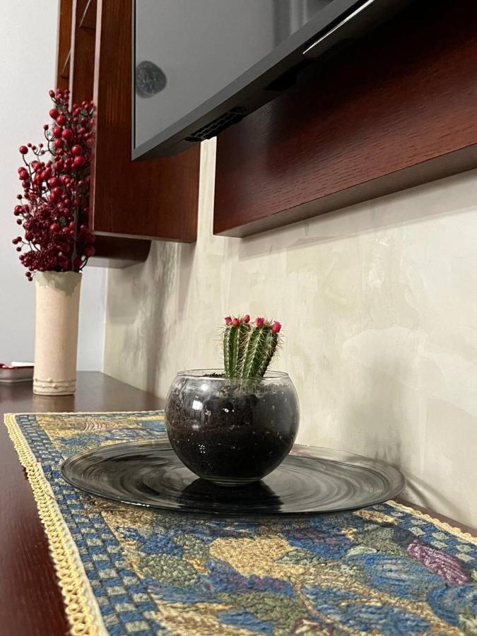 地拉那Cozy Nest Ledi公寓 外观 照片